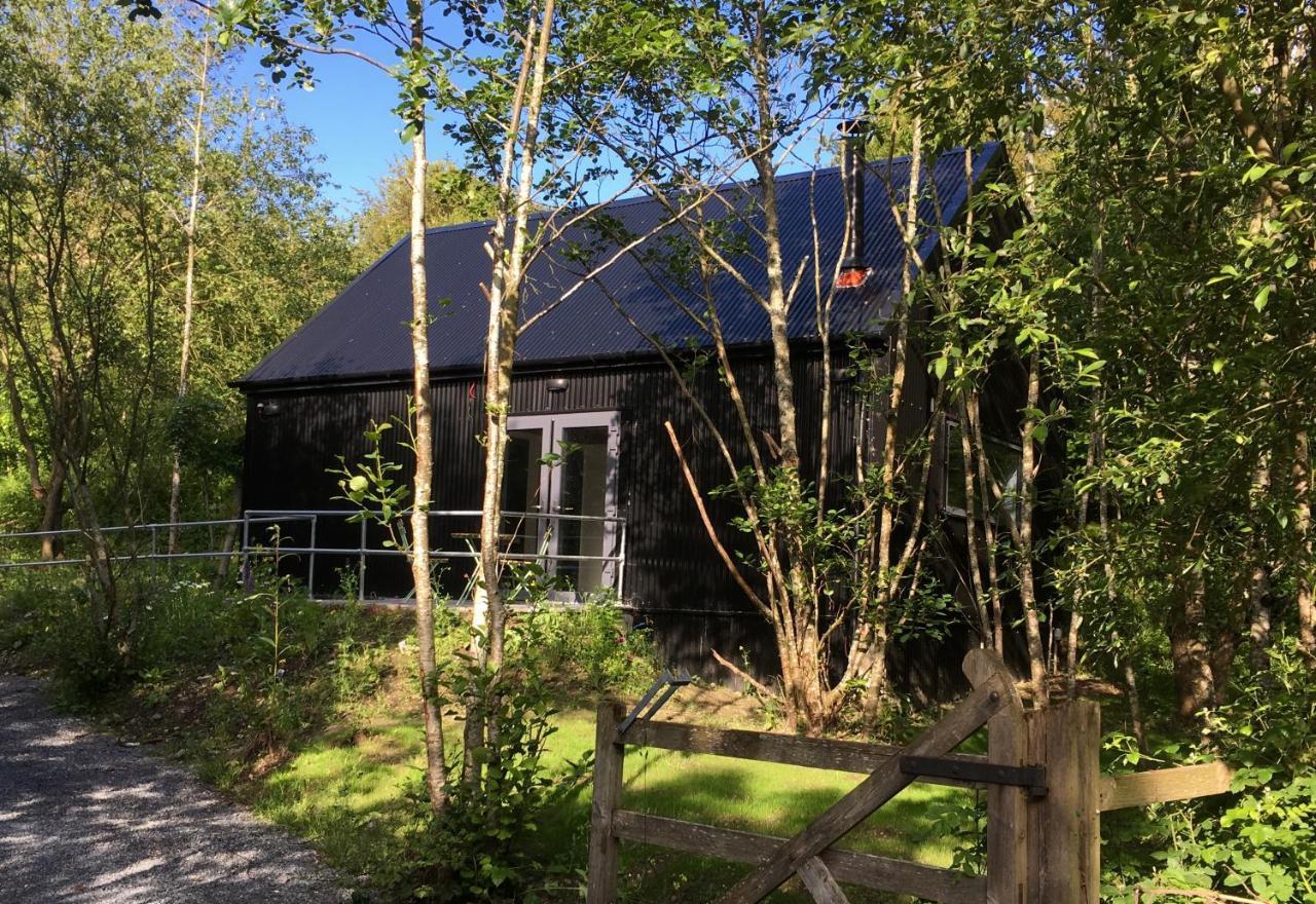 Alder Cabin Kilkenny Exterior foto